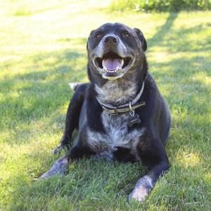 Meet your Posher, Jacob